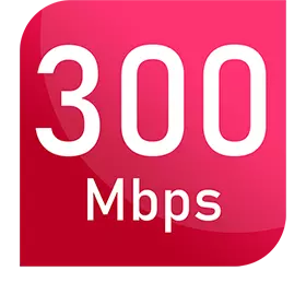 IndiHome Speed 300 Mbps